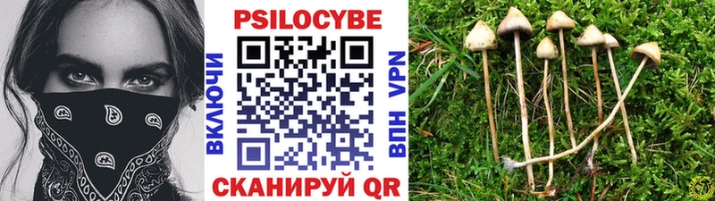 Псилоцибиновые грибы мухоморы  Белый 